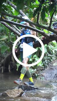 BIB:  <button type="button" onclick="openModal(27808865)" class="btn btn-primary btn-sm float-right" data-toggle="modal" data-target=".modal-high-quality">
                <i class="fa fa-download"></i> Download
                </button>